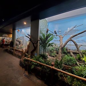 Aug. 2019 - Wings of the World - Mexico + Grasslands + Rhinoceros Hornbill Exhibits