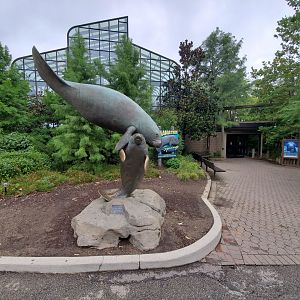 Aug. 2019 - Manatee Springs