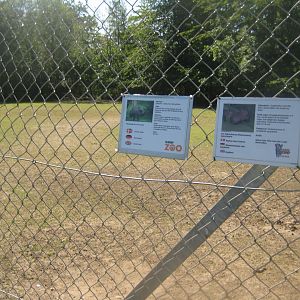 Skærup Zoo - Pampas exhibit