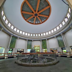 Aug. 2019 - Reptile House Interior