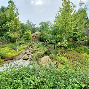 Aug. 2019 - Bald Eagle Exhibit (Former Monkey Island)