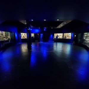 Aug. 2019 - Night Hunters Rotunda