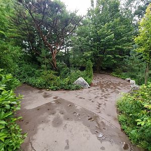 Aug. 2019 - Cat Canyon - New Pathway to Owl Exhibit