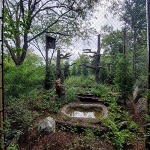 Aug. 2019 - Cat Canyon - New! Eurasian Eagle Owl Exhibit