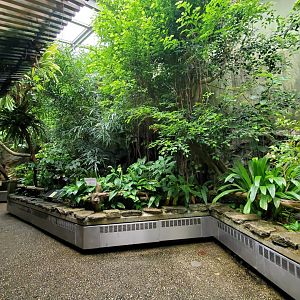 Aug. 2019 - World of the Insect - Butterfly Aviary (4 Species)