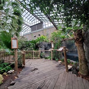 Aug. 2019 - Manatee Springs - Green House (2 Species)