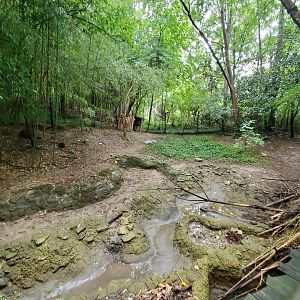 Aug. 2019 - Jungle Trails - Asian Forest Tortoise Exhibit (Former Saddle-billed Stork/Pelican)