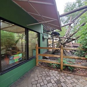 Aug. 2019 - Children's Zoo - Animal Ambassador Center - Indoor & Outdoor Bearcat Exhibits