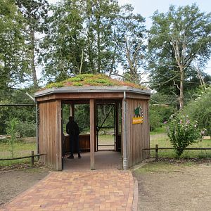 Lemur Exhibit - opened in 2016