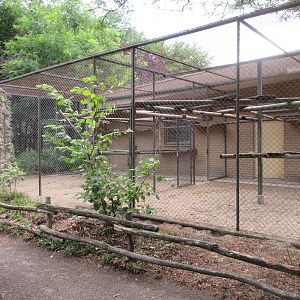 Gelada Exhibit - side enclosures
