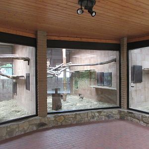 Gelada Exhibit - indoor enclosures