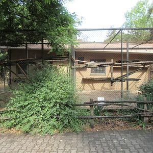 Gelada Exhibit - side enclosures