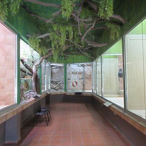 Monkey House (oldest part of zoo)