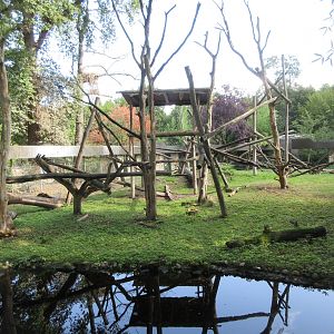 Lion-tailed Macaque Exhibit