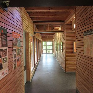 Lemur House - new in 2016