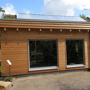 Cotton-top Tamarin House (New in 2019)