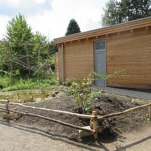 Cotton-top Tamarin House (New in 2019)
