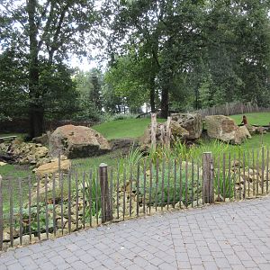 Vietnamese Sika Deer Exhibit (walk-through)