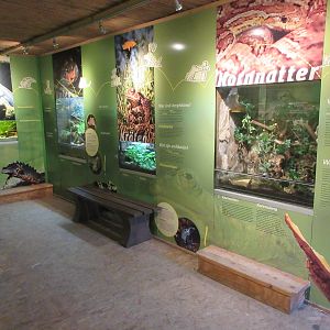 Amphibian House (4-5 exhibits)