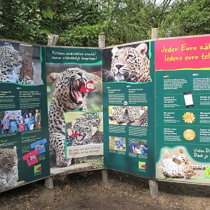 Persian Leopard Exhibit (6-foot signs)