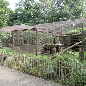 Persian Leopard Exhibits
