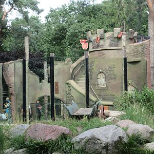 African Lion Exhibit - 'Tower of Ostia'