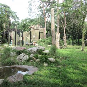 African Lion Exhibit