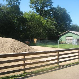 Skærup Zoo - Donkey/pony exhibit