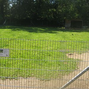 Skærup Zoo - Goat/sheep exhibit