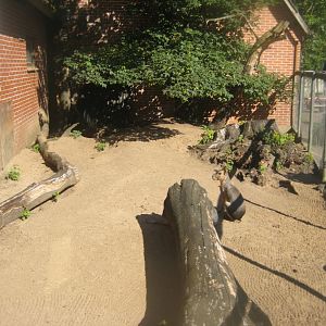 Skærup Zoo - Cavy exhibit