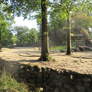 Asian Elephant Exhibit