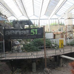 Tropical House - interior