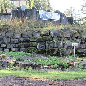 Bear Exhibit (grottoes filled in)