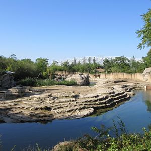Asian Elephant Exhibit