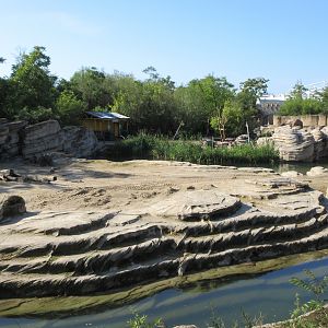 Asian Elephant Exhibit