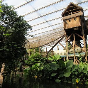 Canopy Walking Trail (for kids)