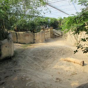Asian Elephant Indoor Exhibit