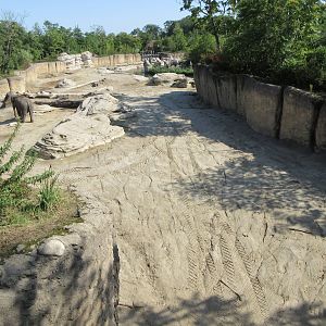 Asian Elephant Exhibit