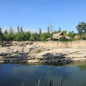 Asian Elephant Exhibit