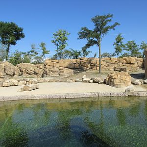 Common Hippo Exhibit