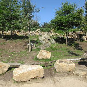 Swamp Wallaby/Rhea Walk-through Exhibit