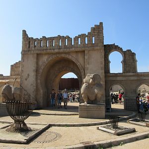 Hamadryas Baboon Exhibit