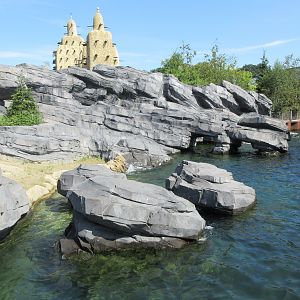 California Sea Lion/South American Fur Seal Exhibit
