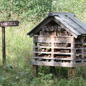 insect-hotel