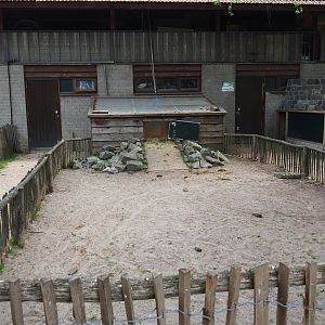 African spurred tortoise paddock, 2019-05-25