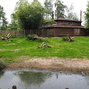Maguari stork - Crested screamer - Cape Barren goose exhibit, 2019-05-25