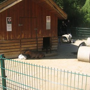 Skærup Zoo - Petting exhibit
