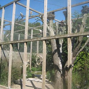 Skærup Zoo - Wader aviary