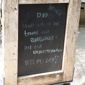 Sign guided feeding tour, 2019-05-25