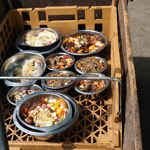 Keeper feeding cart with animal diets, 2019-05-25